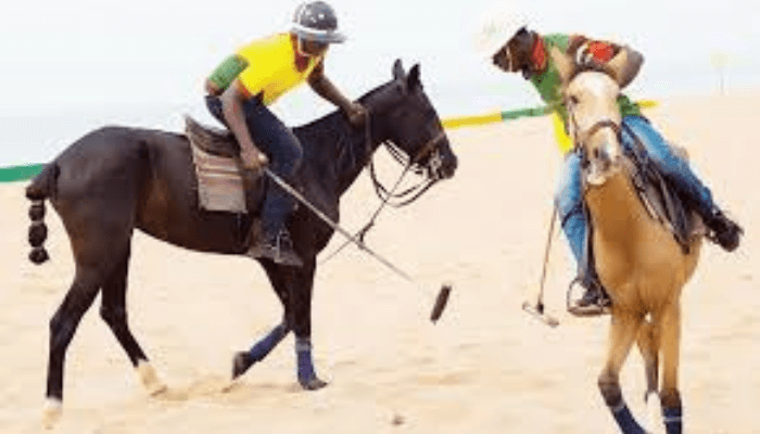 Beach polo