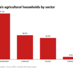 Nigeria's agricultural households