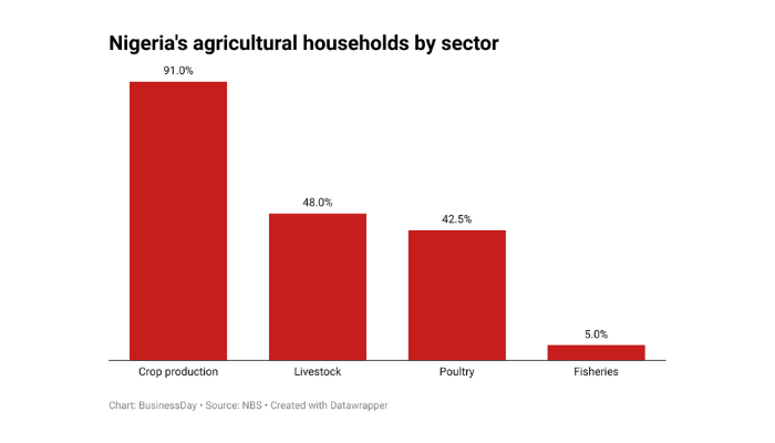 Nigeria's agricultural households