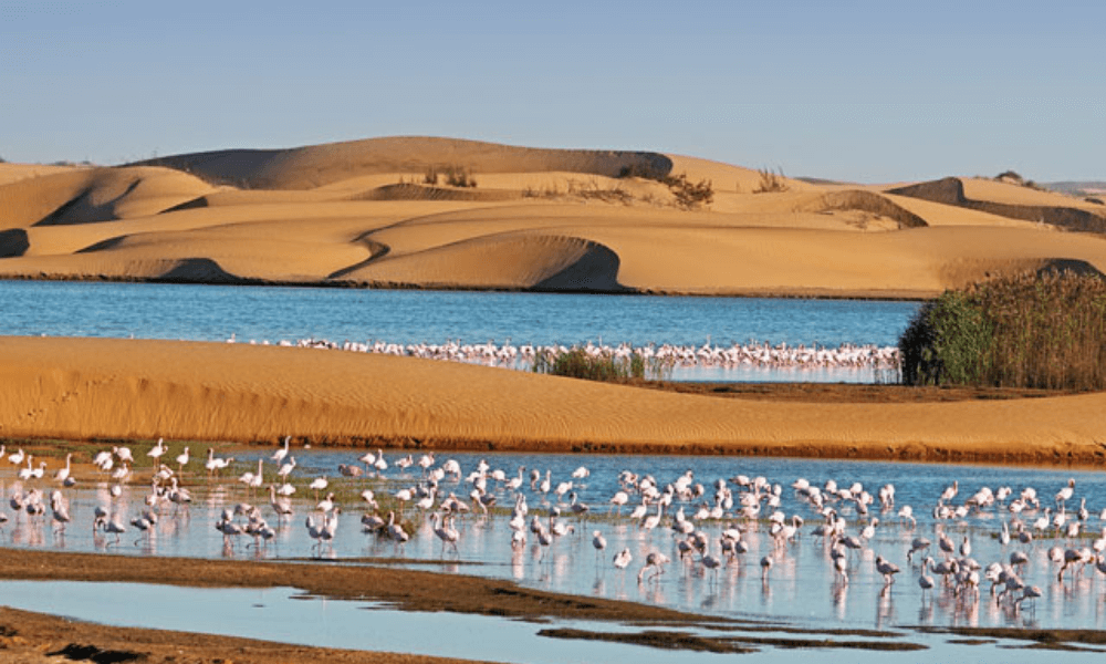 tourism in Namibia