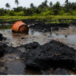 ogoni cleanup