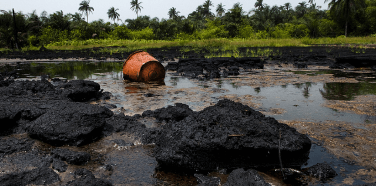 ogoni cleanup