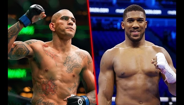 Joshua talks up UFC champion Pereira on boxing move