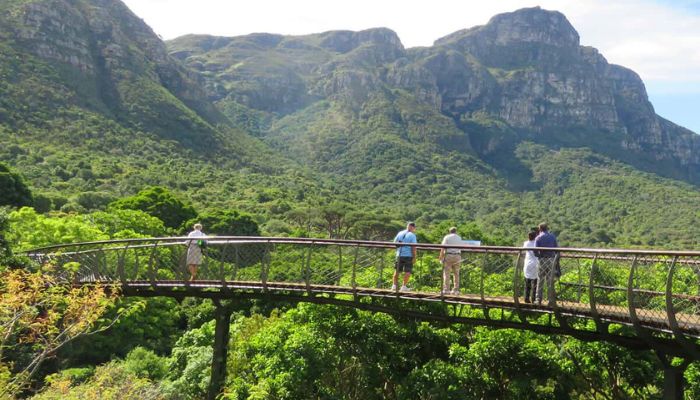 Exploring Cape Town and Surroundings, South Africa