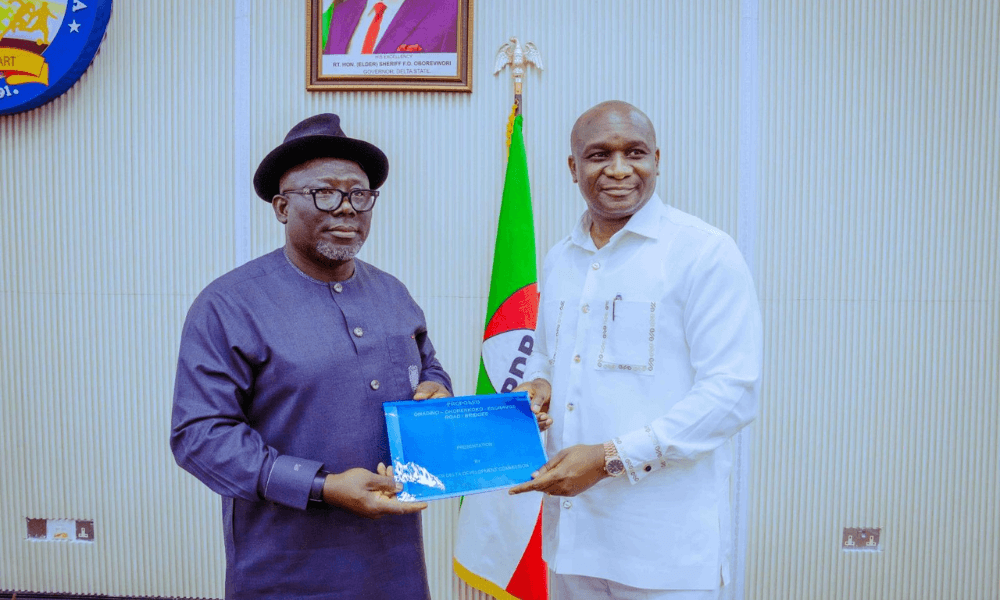 abandoned projects in Niger Delta