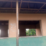 Nigerian public primary schools