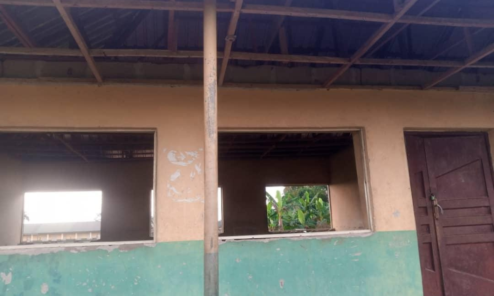 Nigerian public primary schools