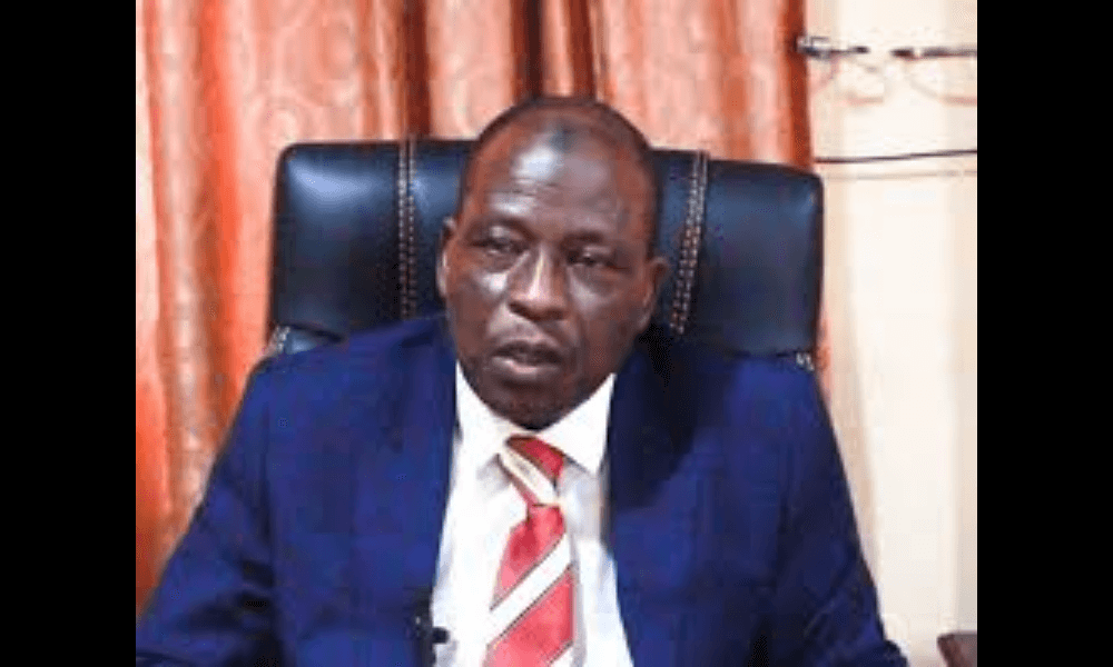 Kano council elections