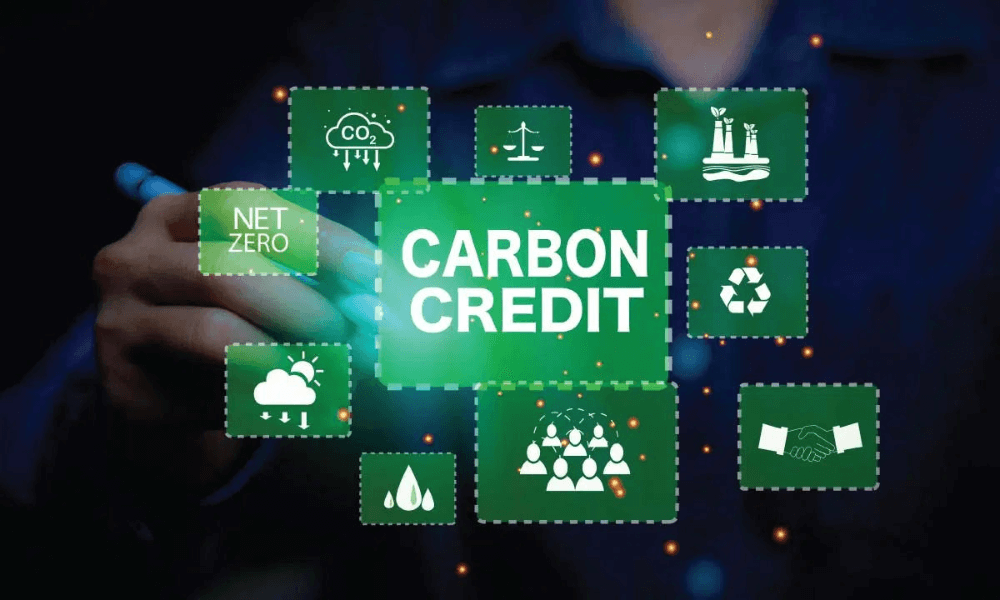 Carbon credit