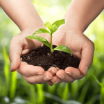 agricultural development