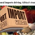 10 Agricultural imports driving Africa's trade dynamics