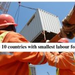 Africa's Top 10 countries with smallest labour force strength