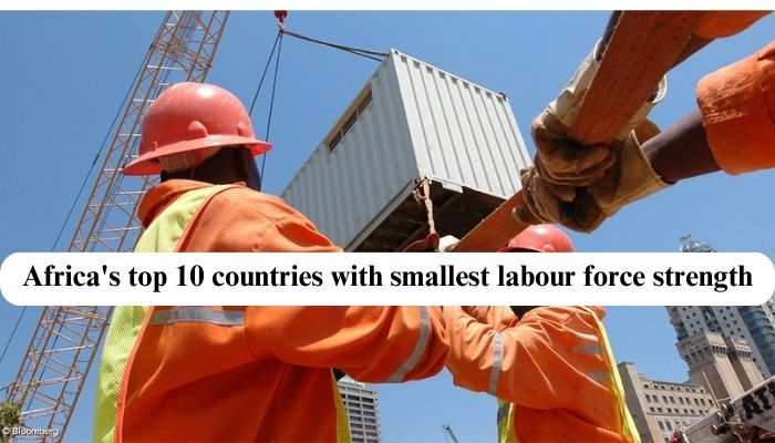 Africa's Top 10 countries with smallest labour force strength
