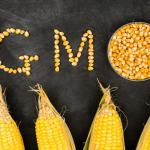 GMOs