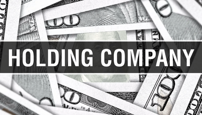 Holding company