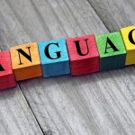 Nigeria's national language