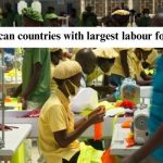 Top 10 African countries with largest labour force strength