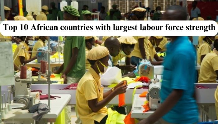 Top 10 African countries with largest labour force strength