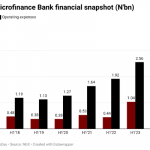 NPF Microfinance bank