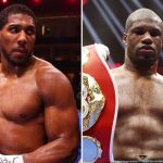 Joshua vows to unleash ‘gladiatorial spirit’ against Dubois