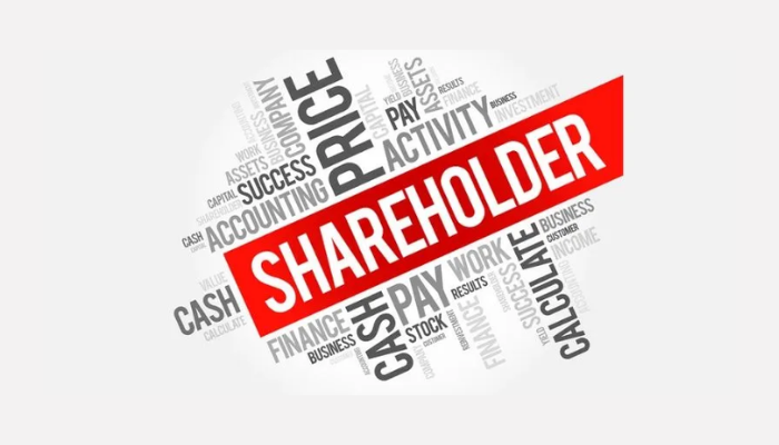 Shareholding structure