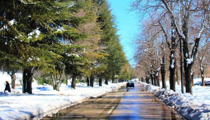 Morocco snow fall