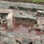 Odokekere High School