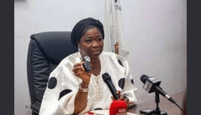 Abike Dabiri-Erewa of Nigeria Diaspora Investment Summit