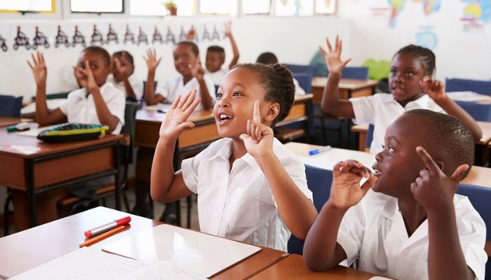 10 African countries with the best education quality