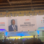 Mining investors in Africa