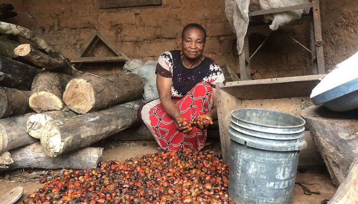 Olum women take a stand to protect their forests from illegal logging