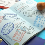 Digital Travel Credential