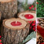 Find free Christmas décor elements in nature (1)