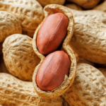 Groundnut