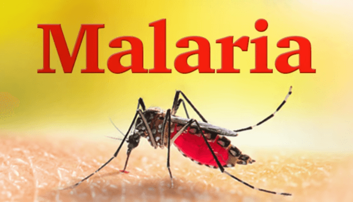 Malaria