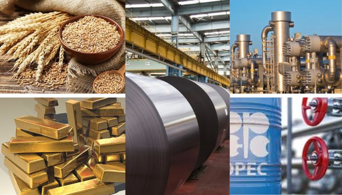 Top 5 world key commodities trends to watch for in 2025