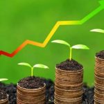 High yield/short-maturing farming business opportunities in Nigeria