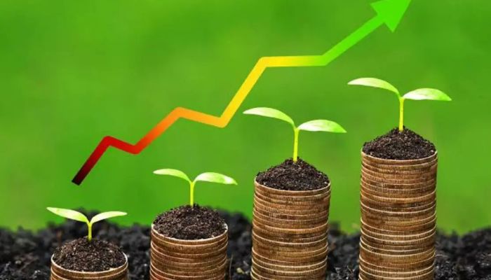 High yield/short-maturing farming business opportunities in Nigeria