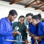 Human capacity development: FG to pay trainees in vocational schools