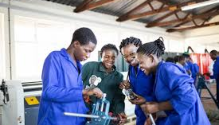 Human capacity development: FG to pay trainees in vocational schools