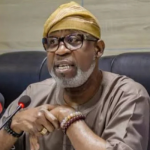 Illegal stockpiling of explosives triggered Niger explosion - Alake