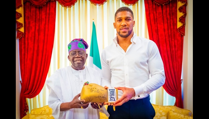Anthony Joshua gifts President Tinubu autographed glove during Lagos visit