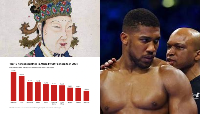 Top 10 most-read articles on BusinessDay in 2024