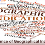 Intellectual property right