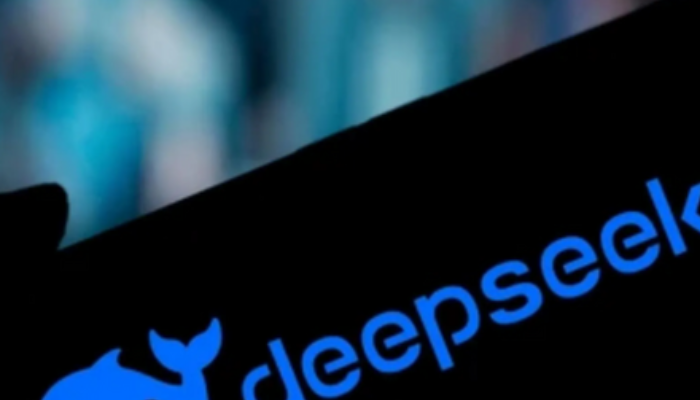 DeepSeek