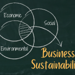 business sustainability strategy