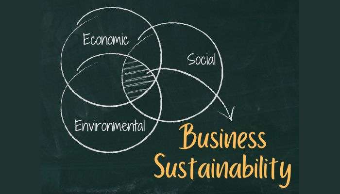 business sustainability strategy