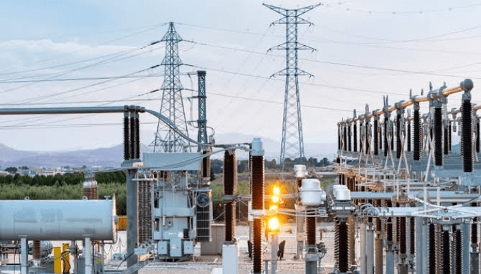 Nigeria’s electricity market