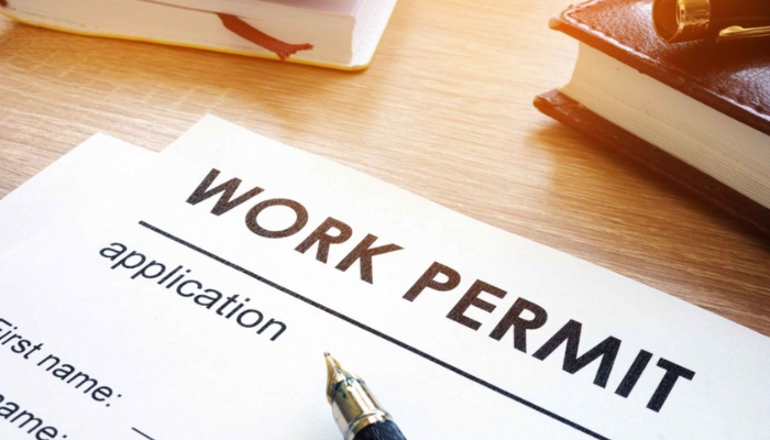 Countries work visa requirements