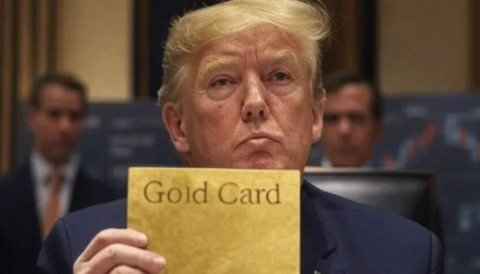Trump Gold Card
